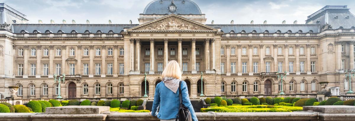 Private City Tour of Brussels