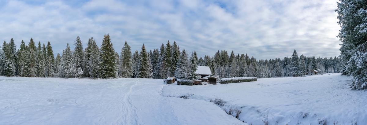 Olympic Mountains and Vrelo Bosne Trip