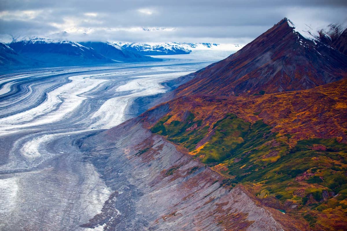 Escursione al Parco Nazionale di Kluane