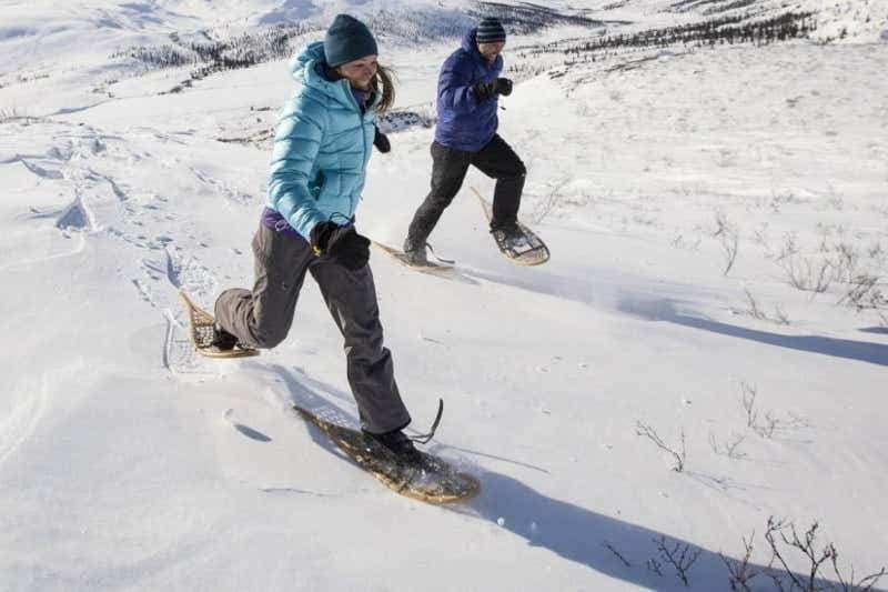 Whitehorse Snowshoeing Tour