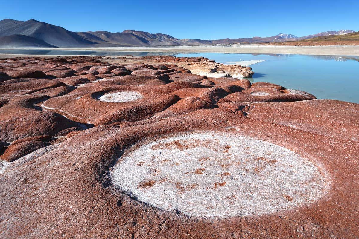Piedras Rojas, Atacama Salt Flats & Altiplano Lakes Trip
