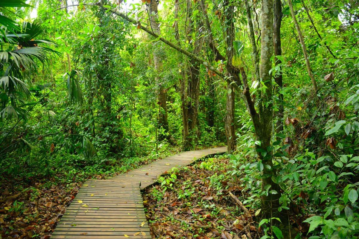 Excursión al Parque Tayrona
