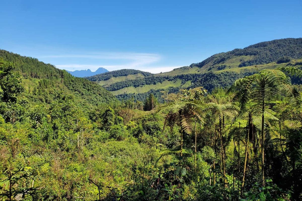 Tour en 4x4 por Jardín
