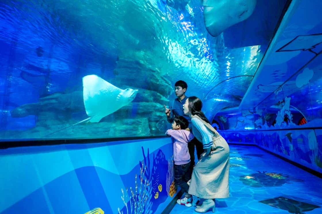 Biglietti per l'Acquario di Busan