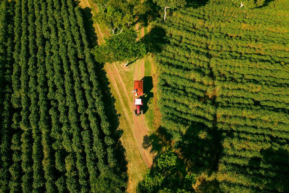 Visita a la Hacienda Doka