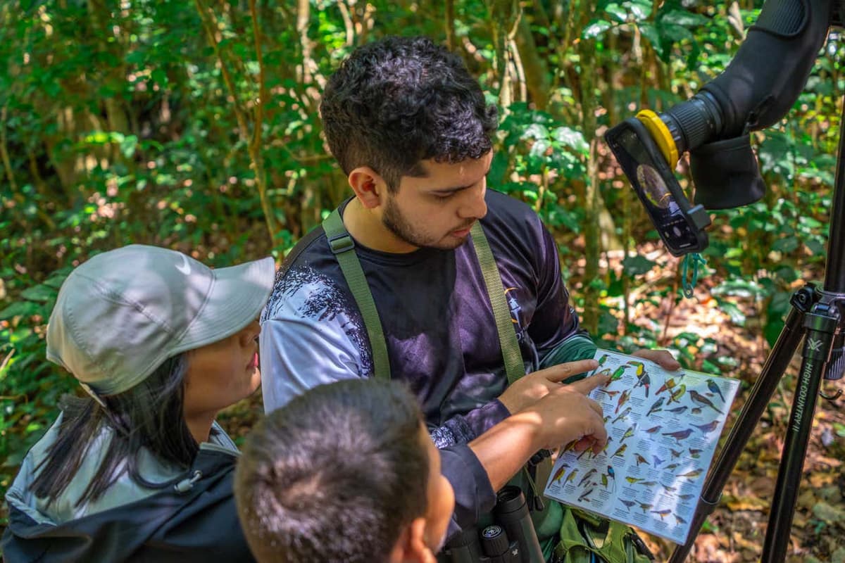 Senderismo por el Bosque Nuboso de Monteverde