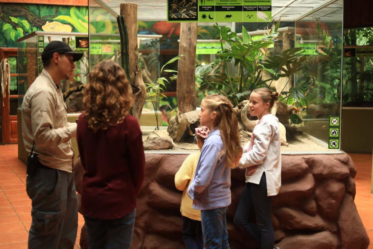 Visita al herpetario de Selvatura Park