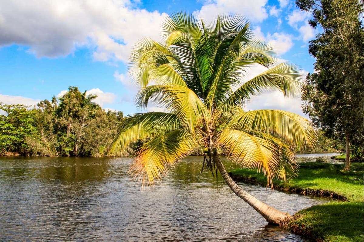 Ciénaga de Zapata National Park Day Trip