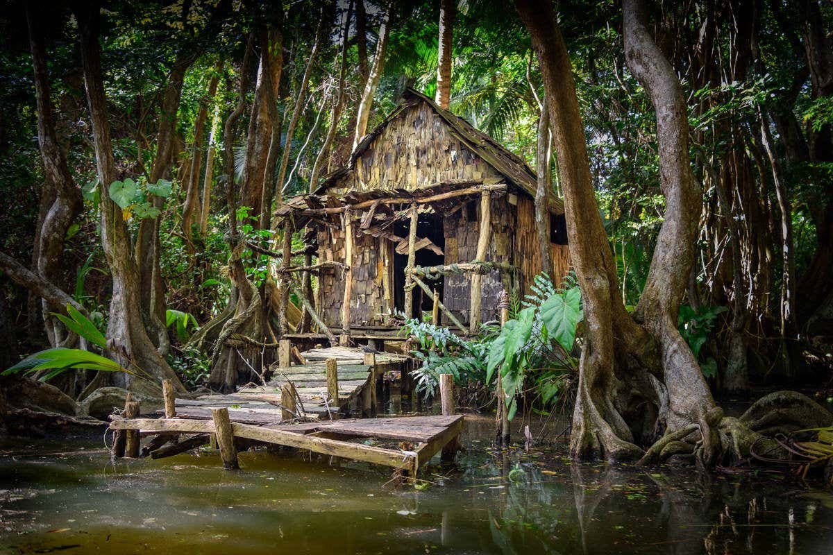 Dublanc Hike & Indian River Shore Excursion
