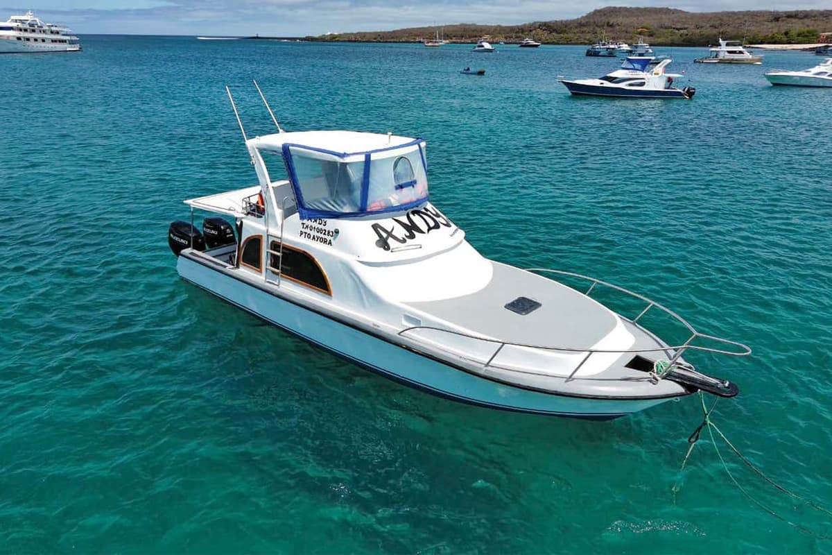 Isabela & Santa Cruz Boat Transfer