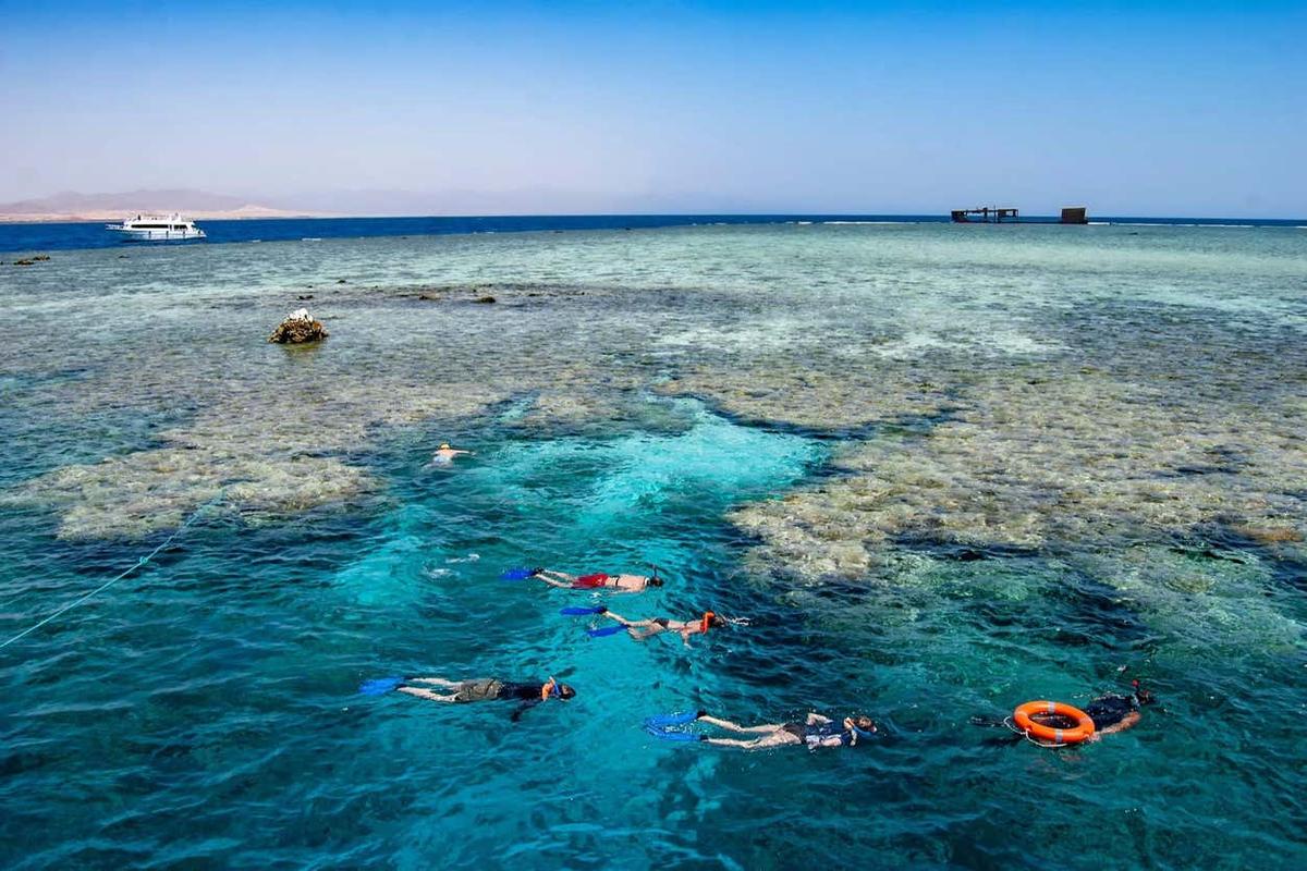 Snorkeling all'Isola di Tiran