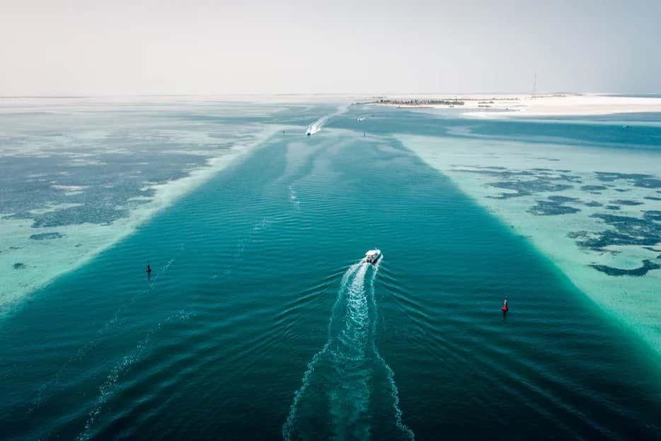 Al Bahrani & Dolphin Islands Day Trip