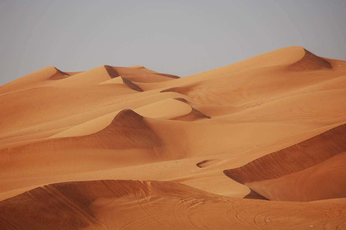 Desert Safari with Dinner & Show