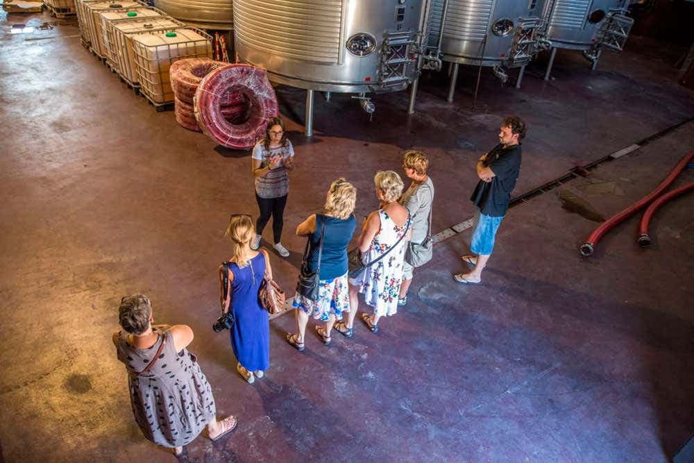 Alicante Vineyards & Wineries Tour