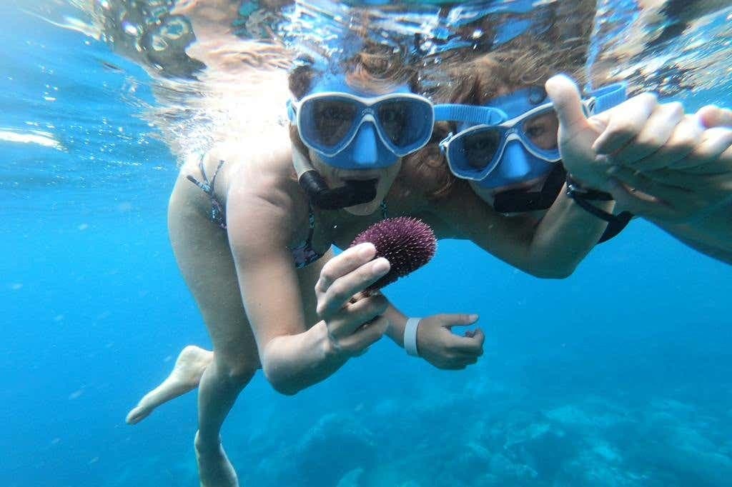 Snorkeling a Costa Adeje