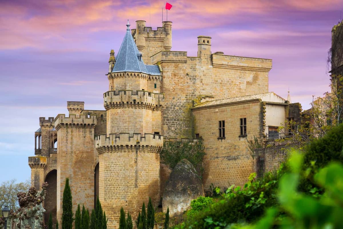 Visita guiada por Olite y su castillo