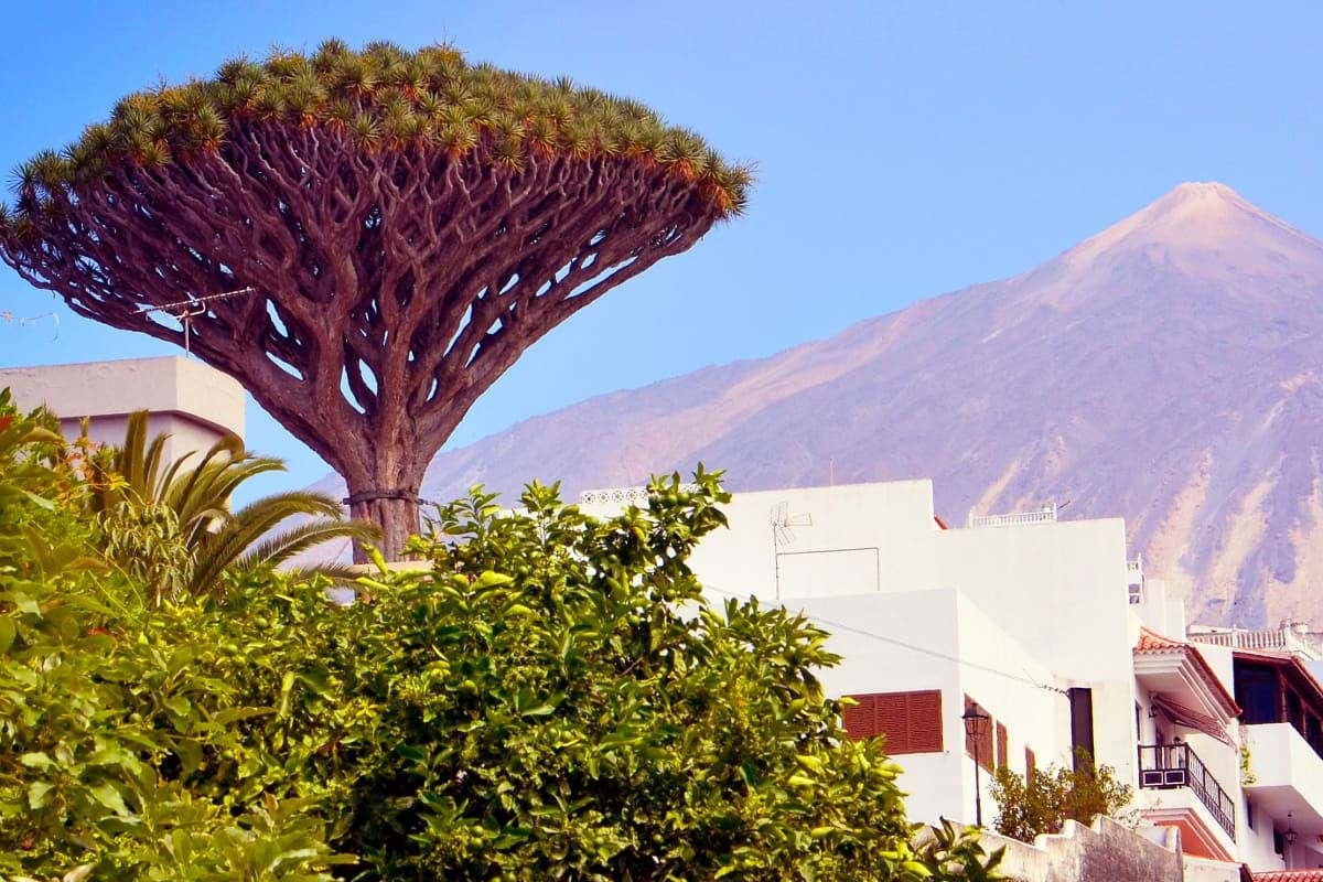 Escursione al Teide, Icod, Masca e Garachico