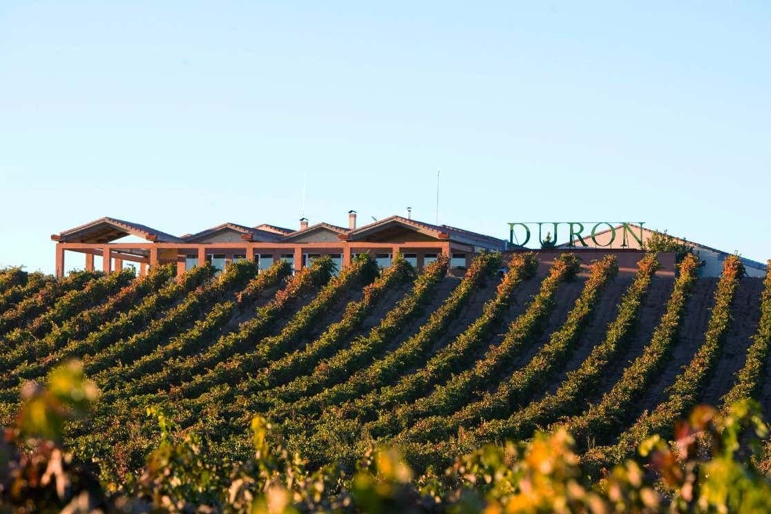 Visita delle cantine Durón