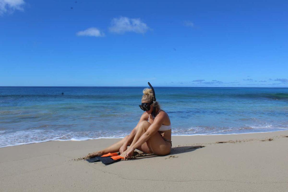 Snorkeling o immersione a Honolulu