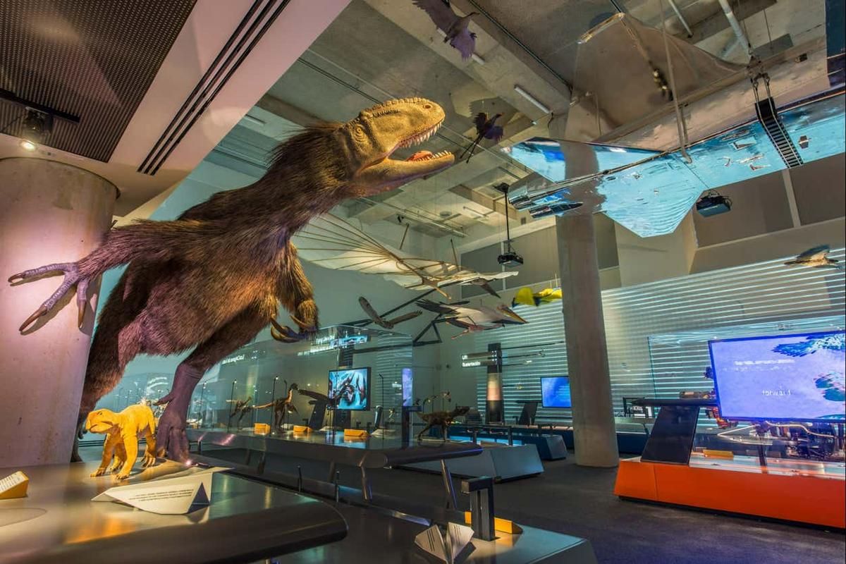 Entrada al Museo de la Ciencia de Miami