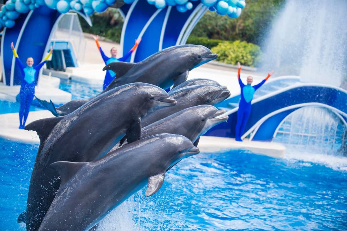 Entrada a SeaWorld Orlando
