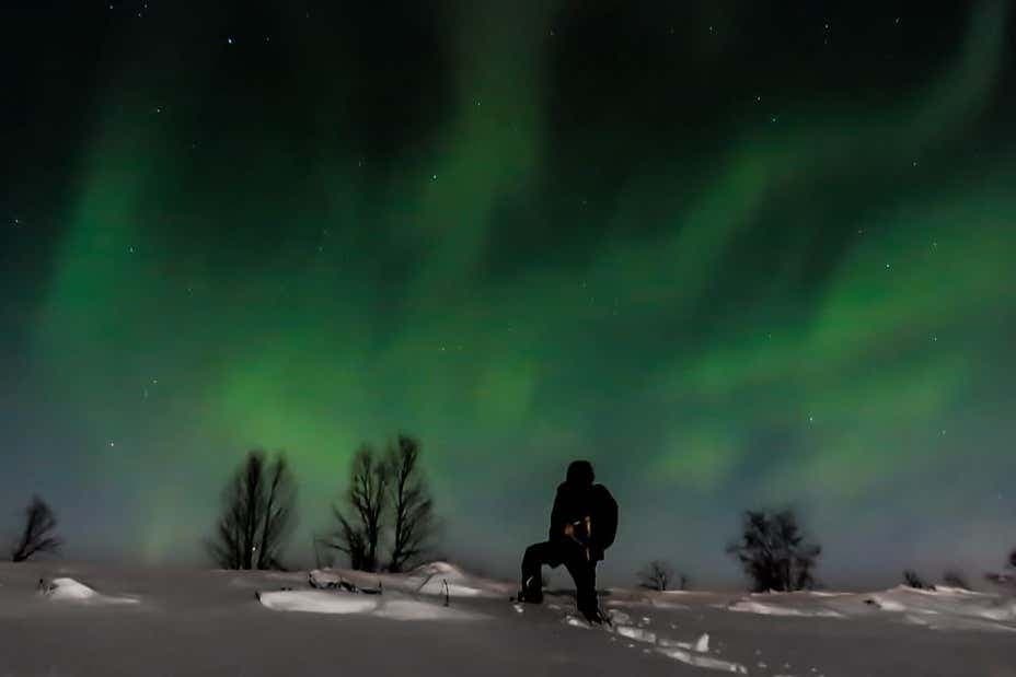 Aurora Borealis Snowshoe Tour