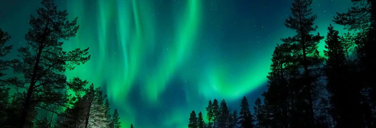 Northern Lights Husky Sleigh Ride