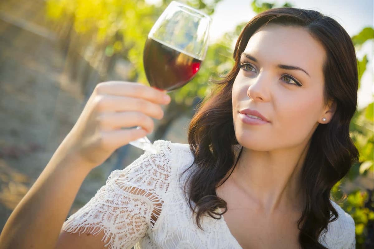 Oil & Wine Tasting in Languedoc