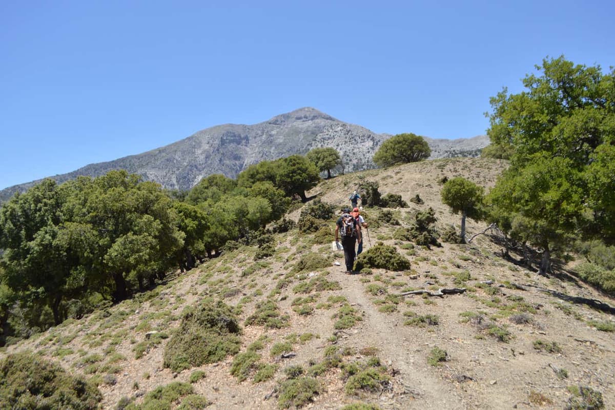 Rouvas Gorge Hiking Tour 