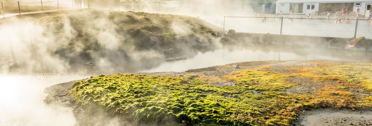 Billet pour la Lagune Secrète