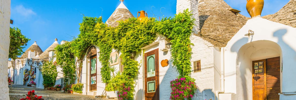 Visita guidata di Alberobello e i suoi Trulli