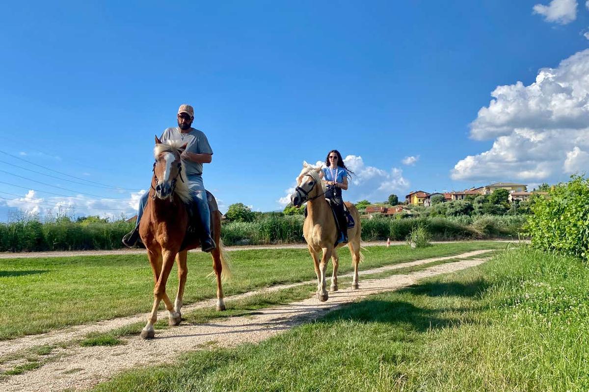 Passeggiata a cavallo a Lazise + Degustazione di vino