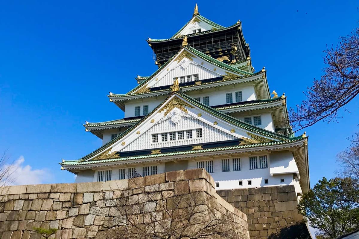 Visita guiada por Osaka y su Castillo
