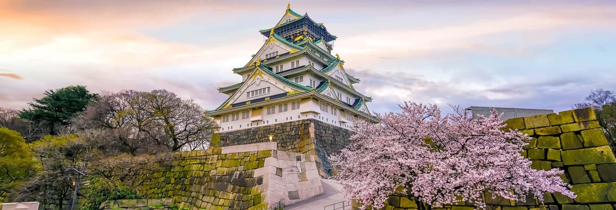Tour privado por Osaka