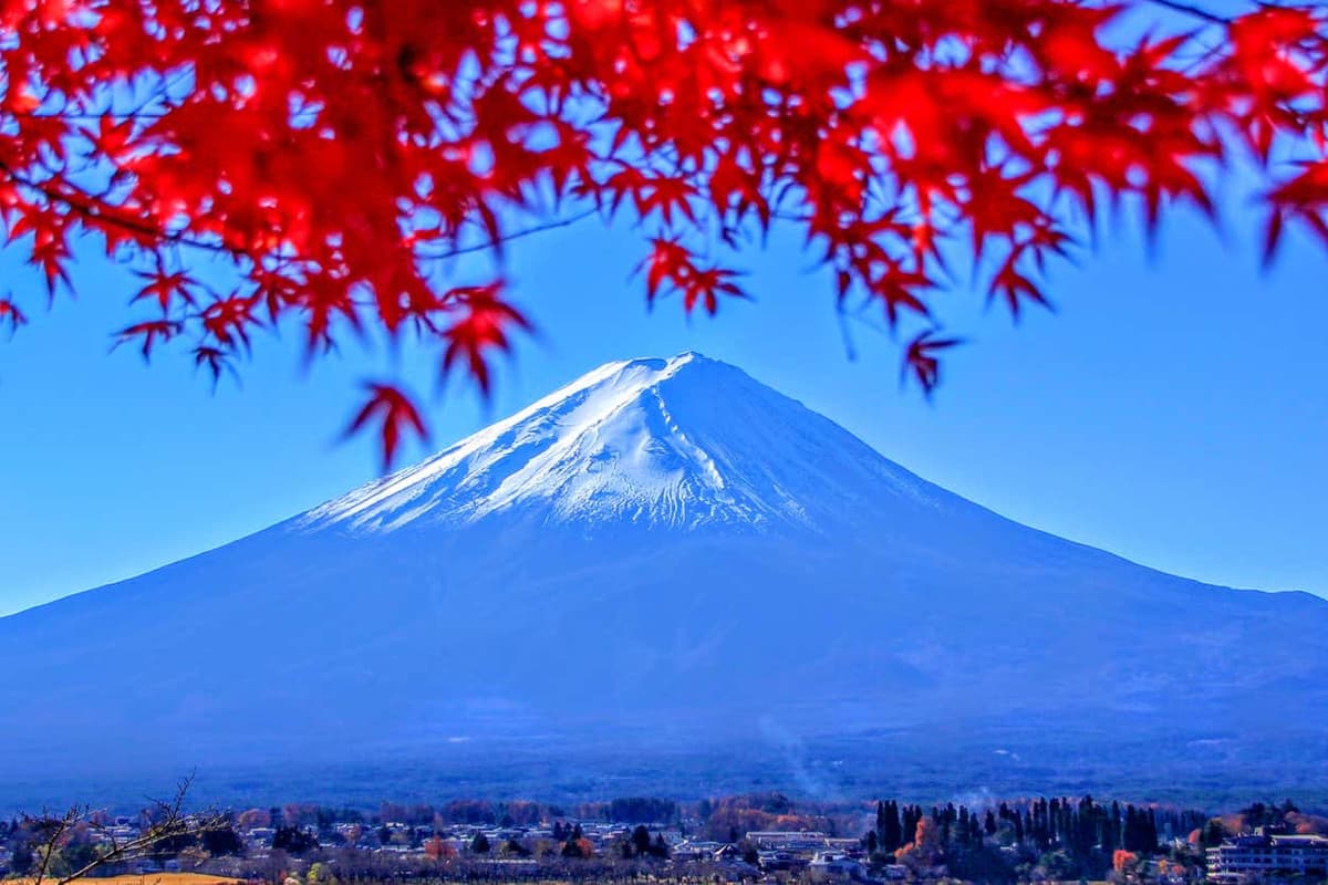Escursione al Monte Fuji e il Lago Ashi
