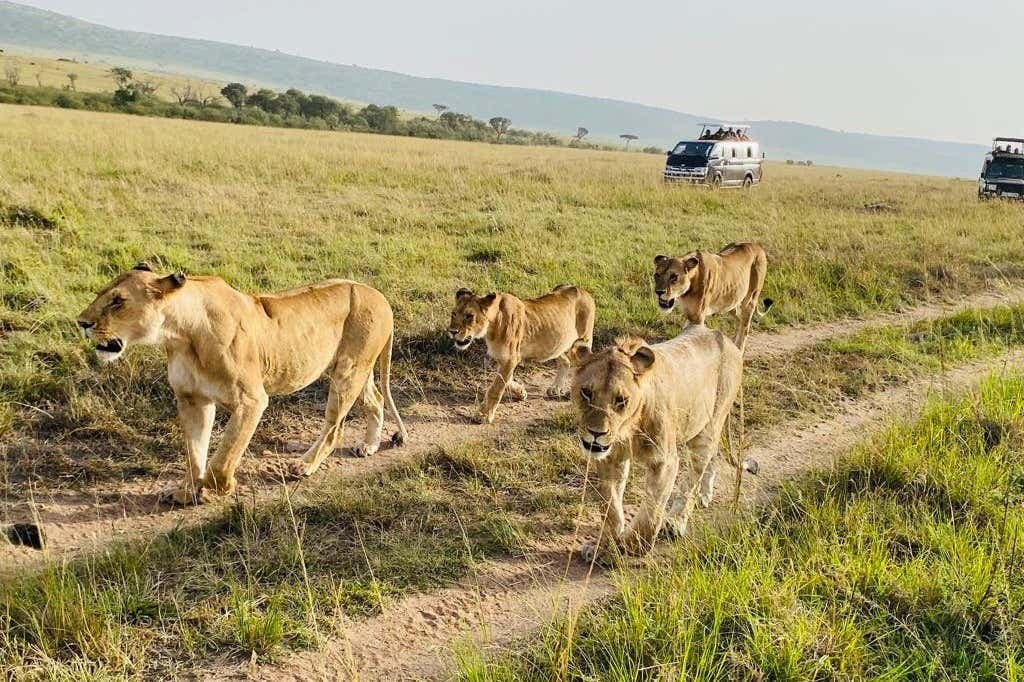 Maasai Mara 3 Day Safari
