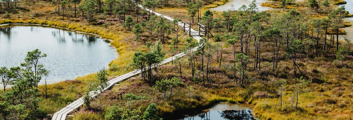 Kemeri National Park + Jürmala Day Trip