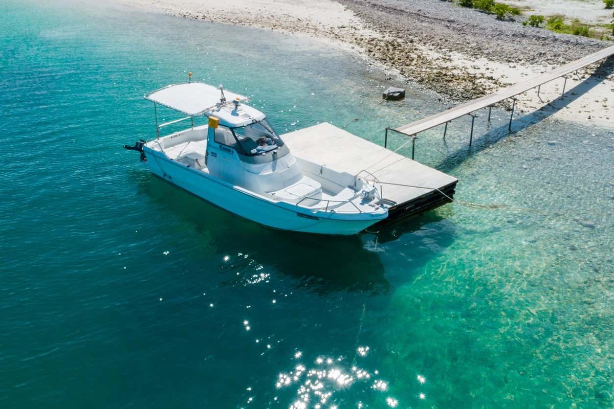 Addu Dolphin Cruise