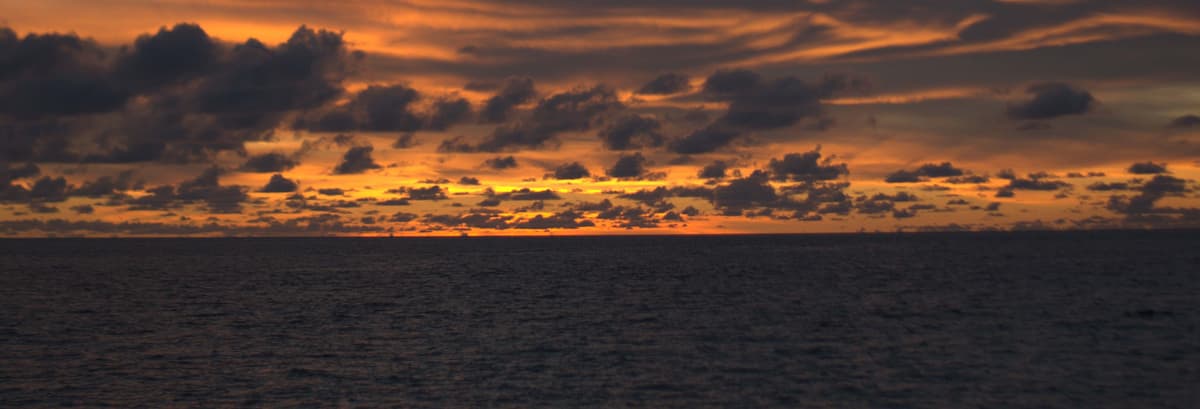 Giro in barca al tramonto + Snorkeling