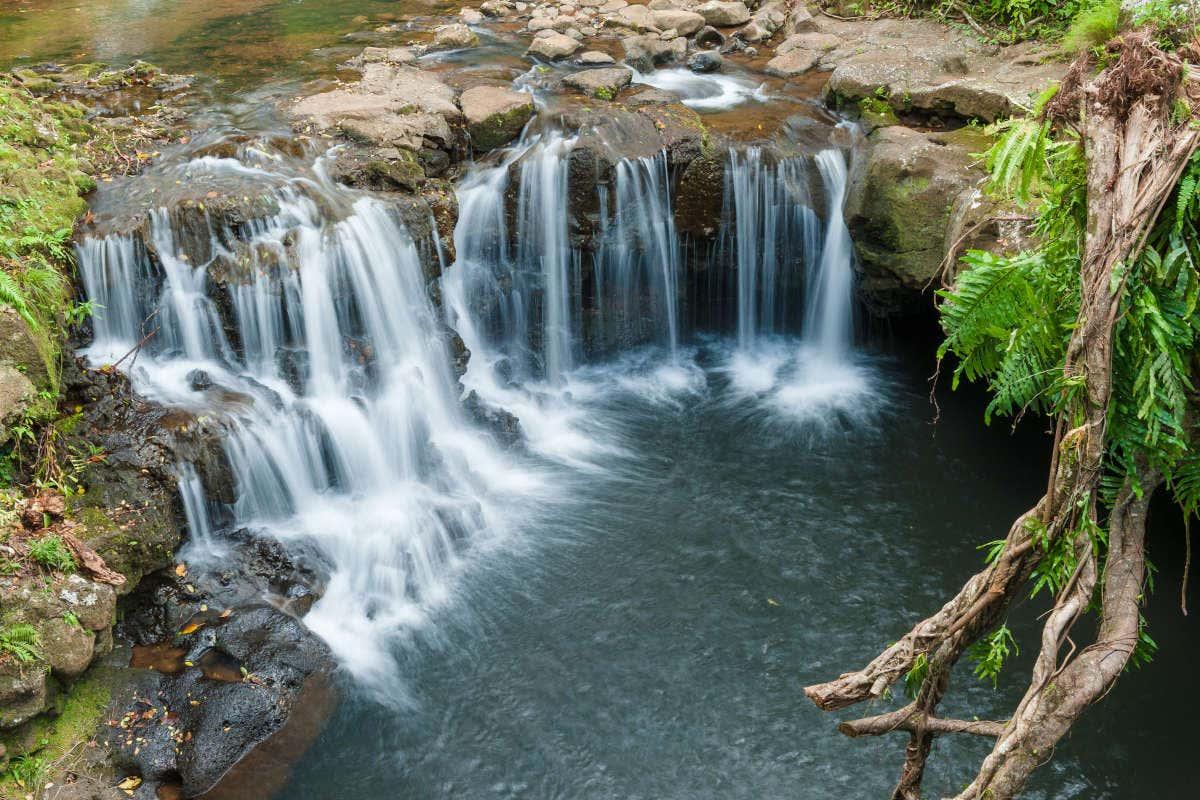 Vallé Advenature Park Private Trip