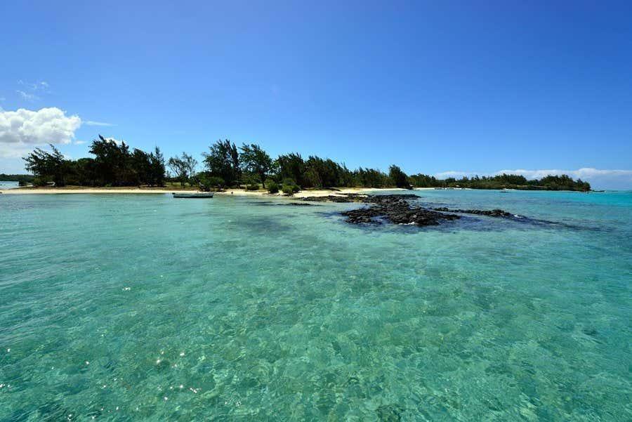 Escursione all'Isola dei Cervi