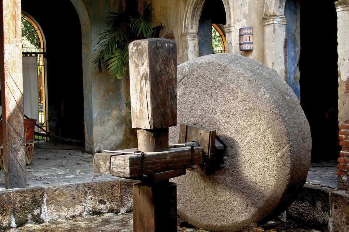 Excursión a Tequila con espectáculo mariachi + Tren José Cuervo Express