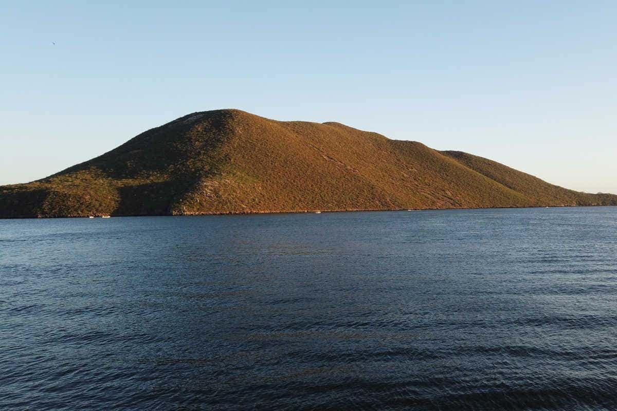 Tour por Los Mochis + Paseo en lancha por la bahía de Topolobampo