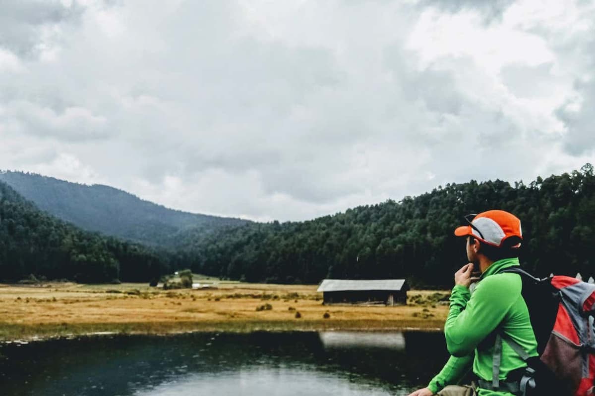 Senderismo por los Bosques del Nevado de Toluca