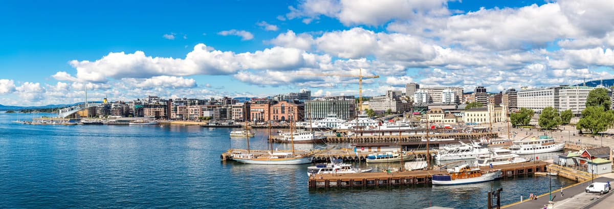 Oslo Sightseeing Bus Tour and Port Cruise