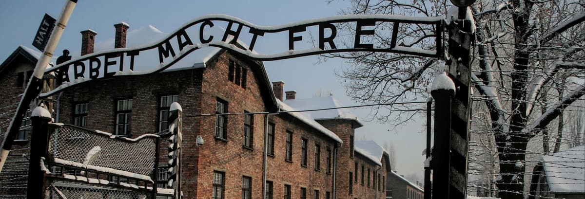 Offerta: Auschwitz + Miniera di Sale in un solo giorno