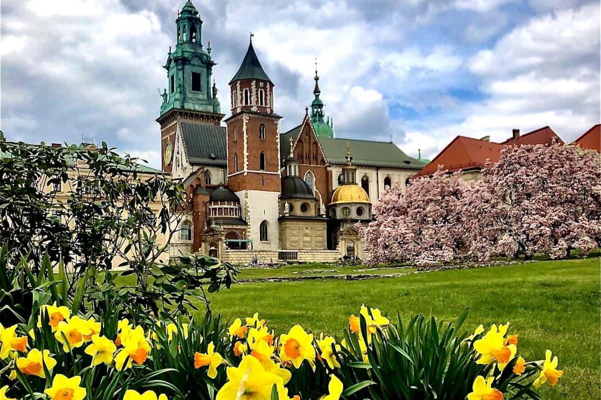 Krakow Private Walking Tour