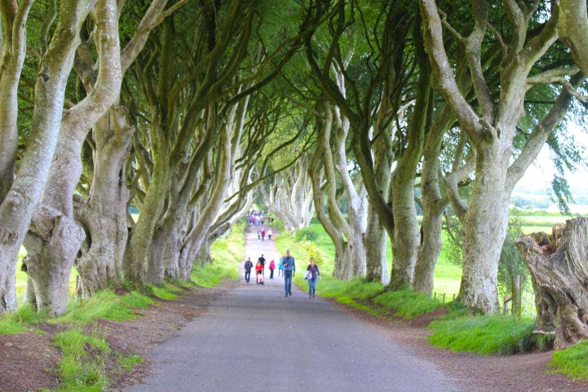 Game of Thrones & Giant's Causeway Tour