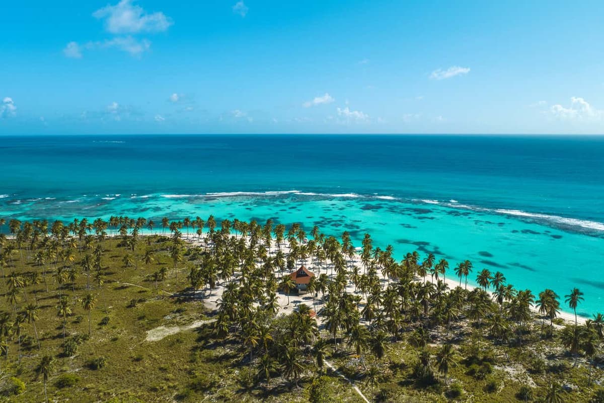 Excursión a isla Saona en catamarán