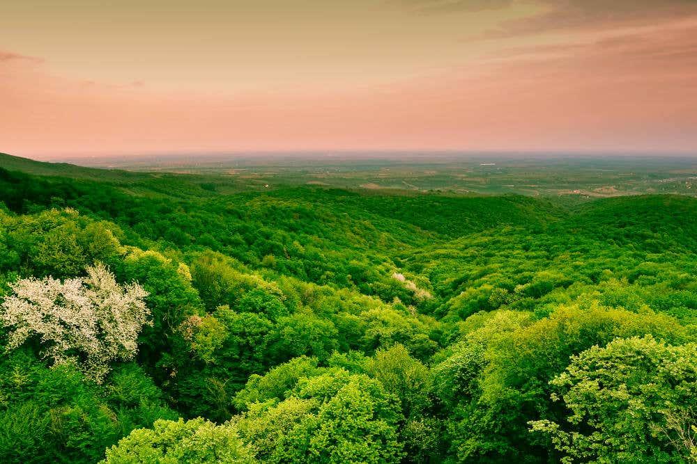 Novi Sad, Fruska Gora & Sremski Karlovci + Wine Tasting